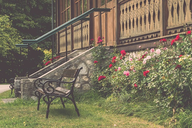 刚刚在澳网 刚刚在澳网