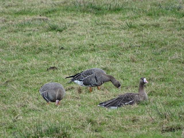 通过大胆启 通过大胆启